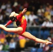 体操队员爆料新闻稿件,揭秘赛场背后的真相与挑战