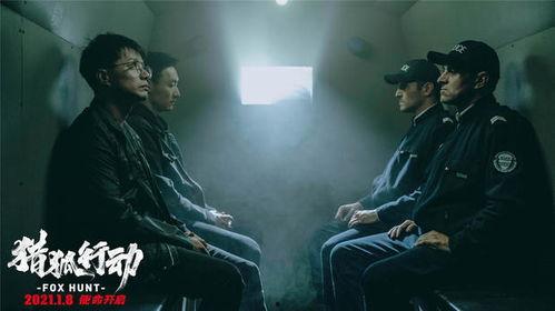 猎狐电影在线观看,跨国追逃，正义之战，在线观影揭秘！